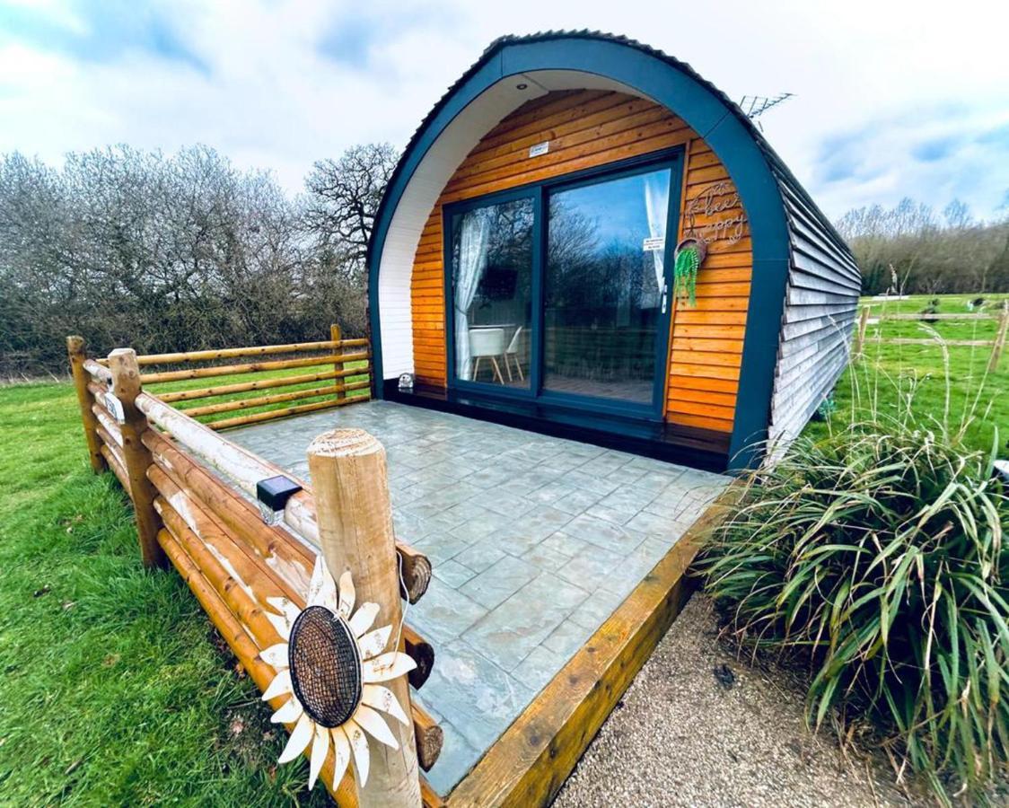 Beech Pod Cabin In Beautiful Surroundings Wrexham Ngoại thất bức ảnh