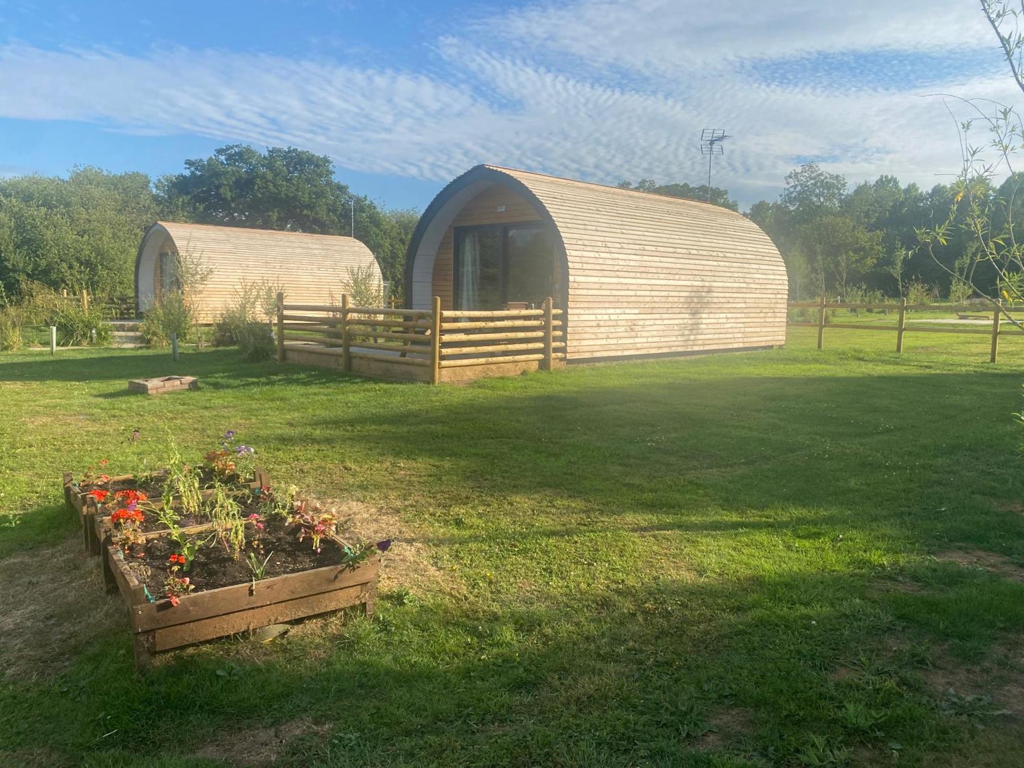 Beech Pod Cabin In Beautiful Surroundings Wrexham Ngoại thất bức ảnh